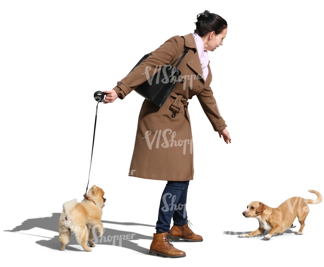 woman walking a dog meeting another dog 