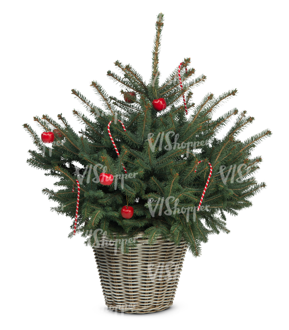 cut out decorated small christmas tree in a basket