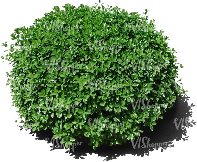 cut out round bush