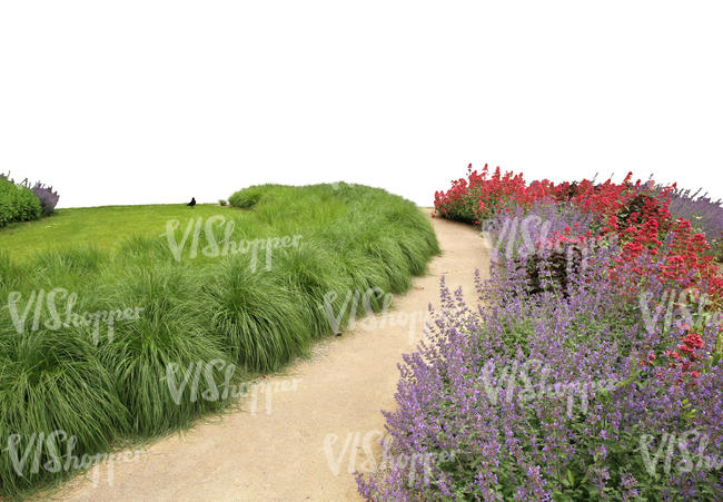 foreground flowerbed in a park