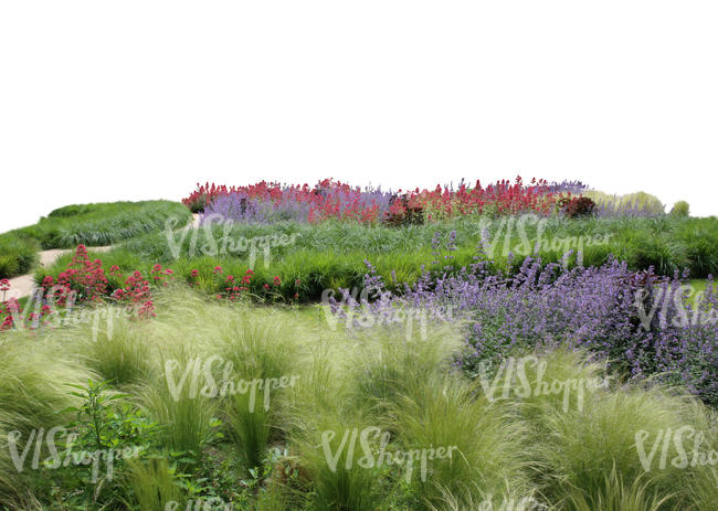 cut out foreground with grass and flowers