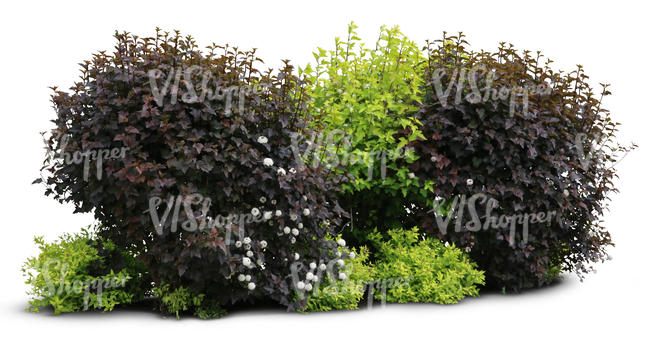 cut out group of bushes