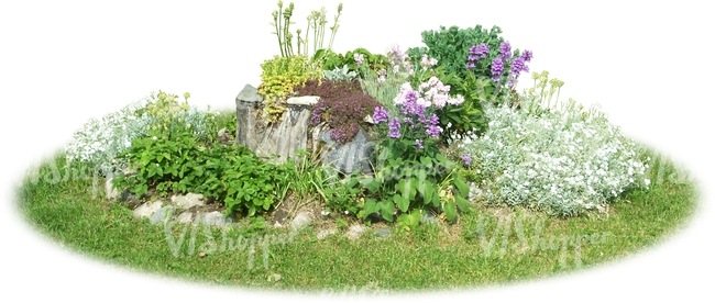 small flowerbed with different flowers