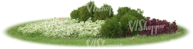 flowerbed with white flowers