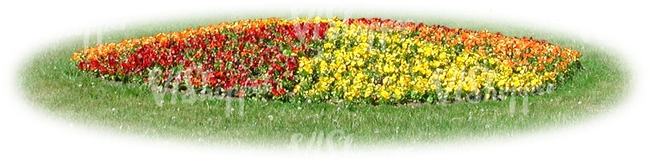 round flowerbed with sectors