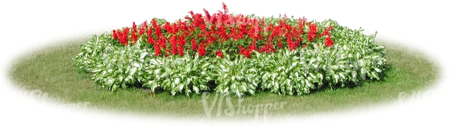 round flowerbed with red flowers