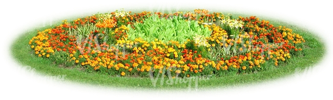 round yellow flowerbed
