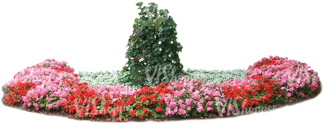 large flowerbed with red flowers