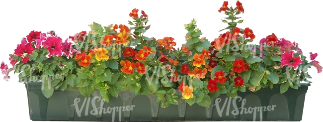 cut out row of red flowers in a pot