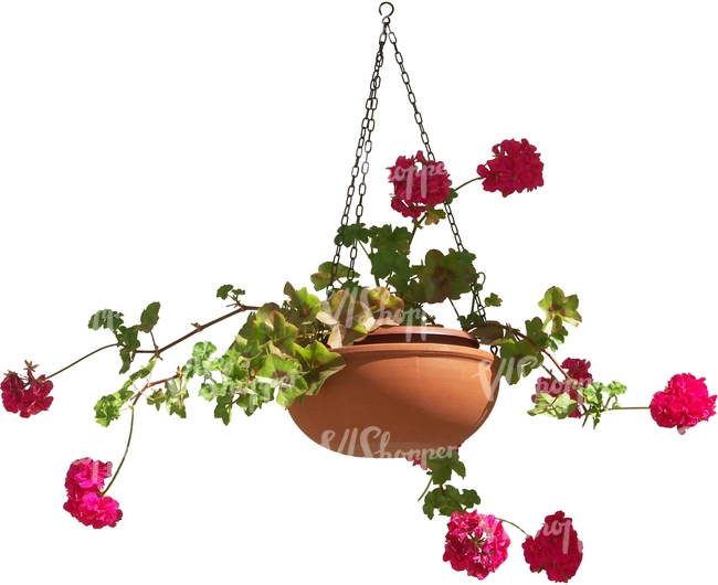 cut out hanging basket with pink flowers