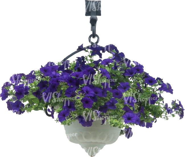 cut out hanging basket with blue flowers
