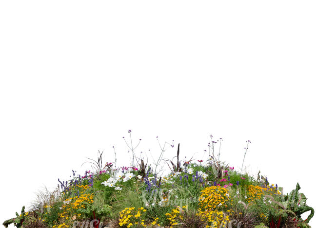 cut out foreground flowerbed