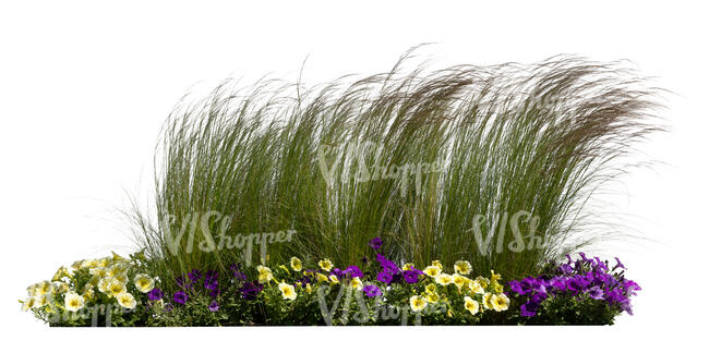 cut out flowerbed with blooming flowers and ornamental grass