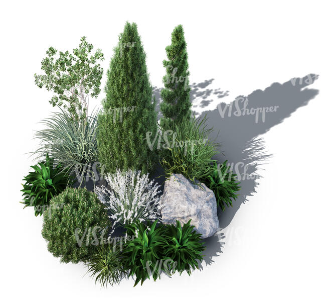 top view render of a composition of plants