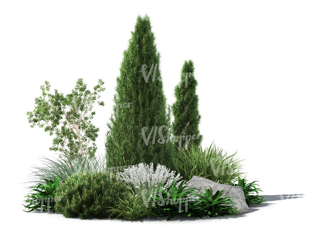 rendering of a composition of plants