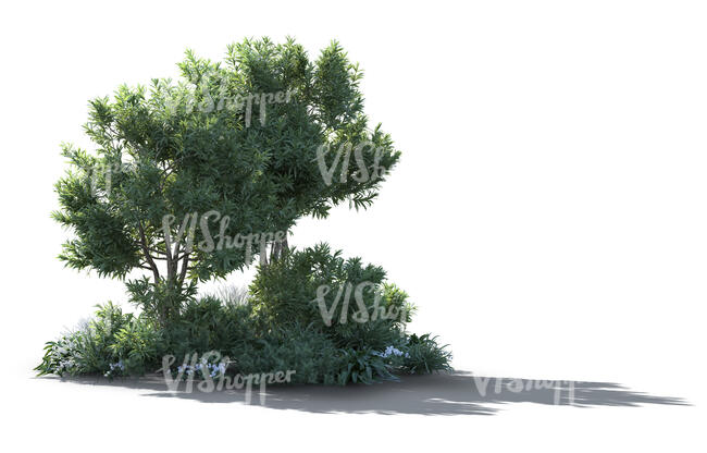 rendering of backlit composition of trees and bushes