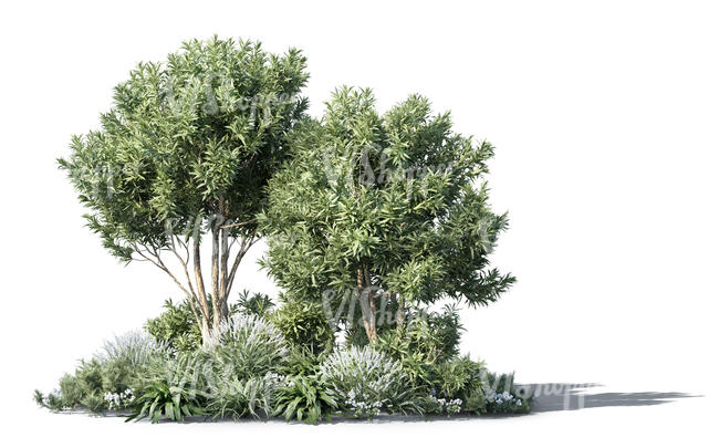 rendering of a composition of different plants