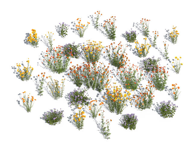 top view of different rendered flowers