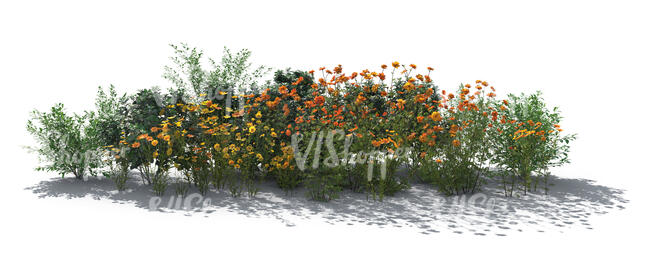cut out rendered image of a backlit flowerbed