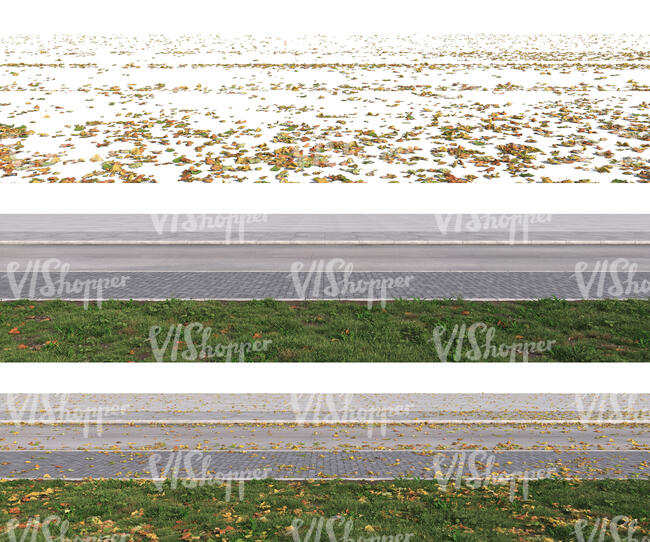 rendered foreground path with fallen leaves on separate layer