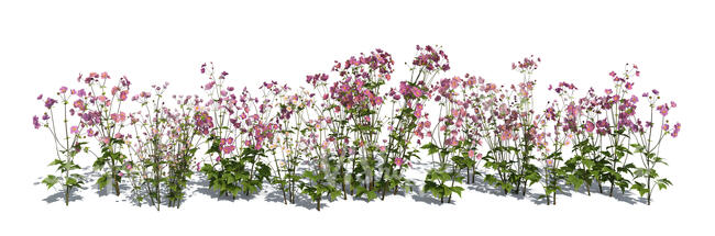 rendered image of a blooming flowerbed