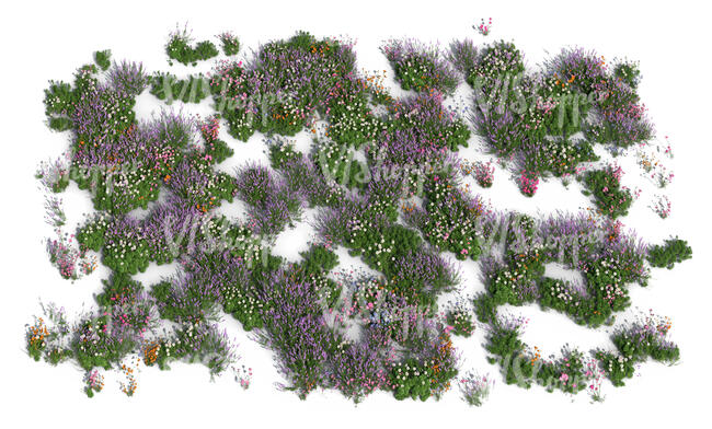 top view rendering of an area filled with different plants