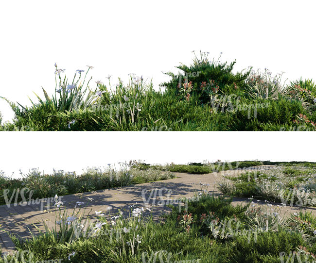 rendered foreground of a footpath and flowerbeds on different layers