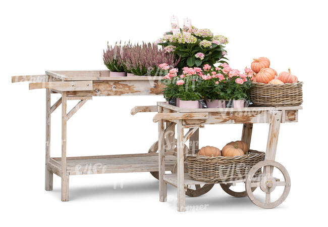 cut out decorative plant stand with flower pots and vegetable baskets