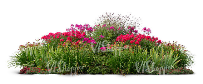 large flowerbed with red and orange flowers