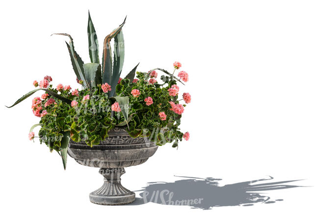 composition of plants and flowers in a historical pot