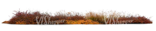 cut out large group of different plants in autumn