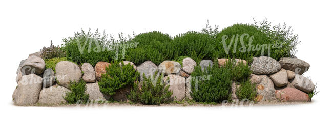 cut out rockery with herb plants and flowers