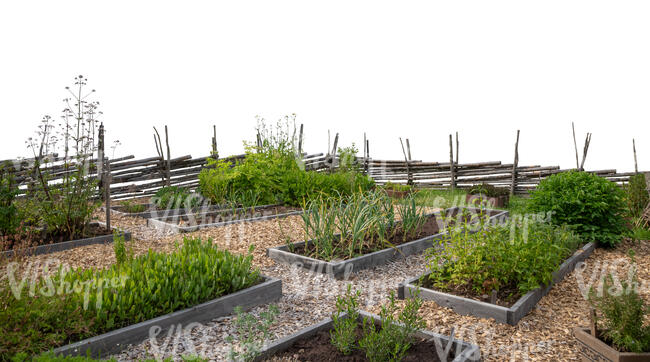 cut out foreground of a garden with planting beds