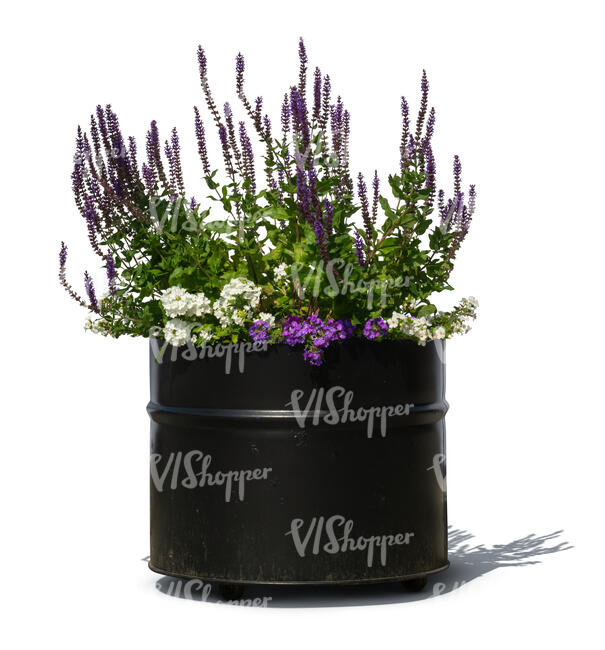 cut out blooming flowers in a black round planter