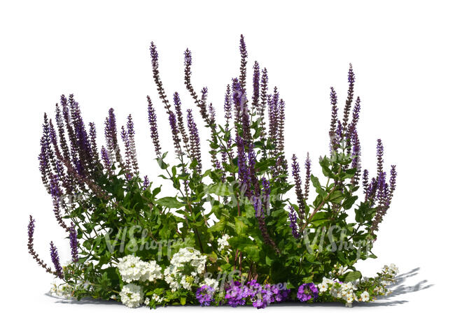 cut out group of flowers