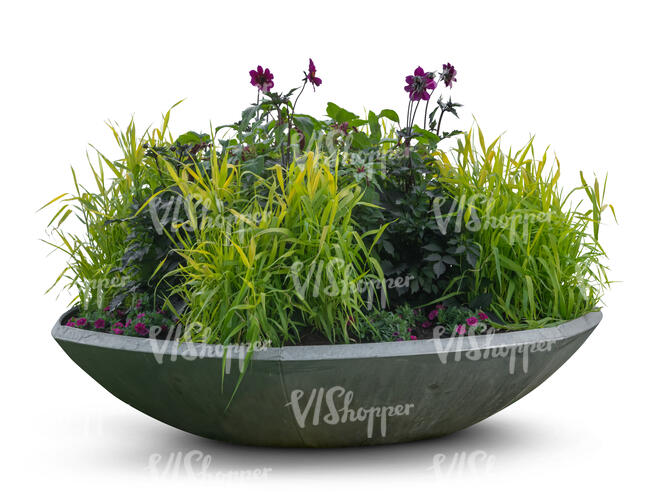 plants and flowers in an outdoor planter