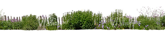 large flowerbed with many different plants