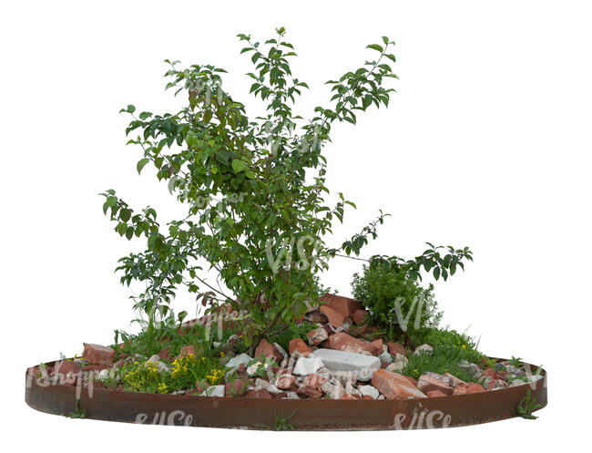 outdoor planter with plants and rocks