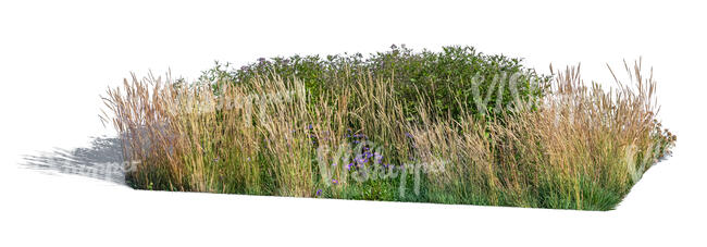cut out big flowerbed with different plants