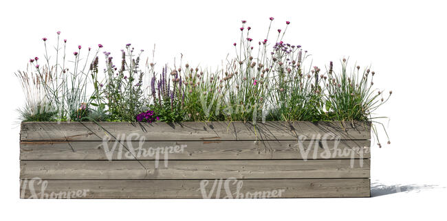 flowers and plants in a wooden planter