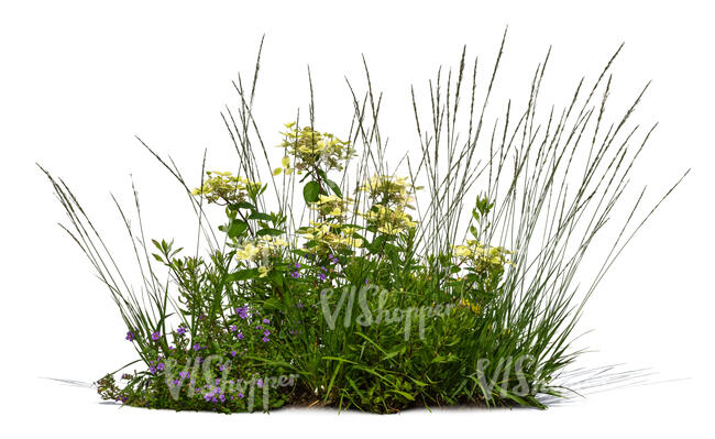 decorative flowerbed with grass and yellow flowers