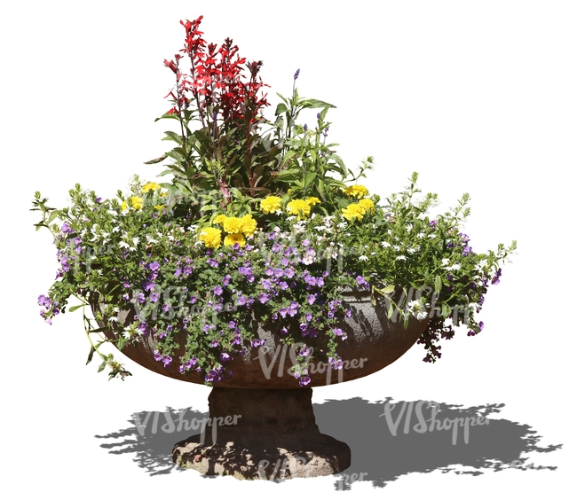 colorfol bouqet of flowers in a stone pot