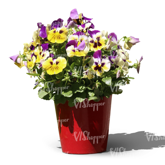 cut out pansy in a red pot