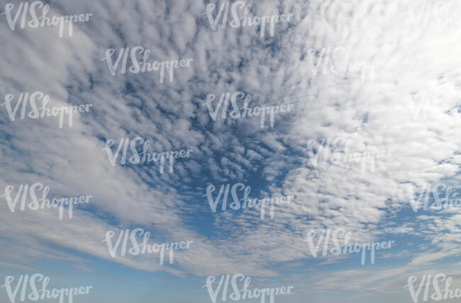 sky with densely scattered white clouds