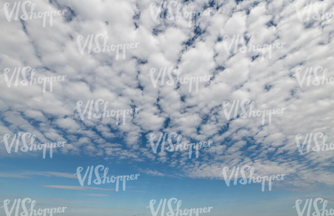 daytime sky with densely scattered small clouds