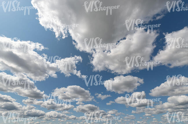 daytime sky with whote fluffy clouds