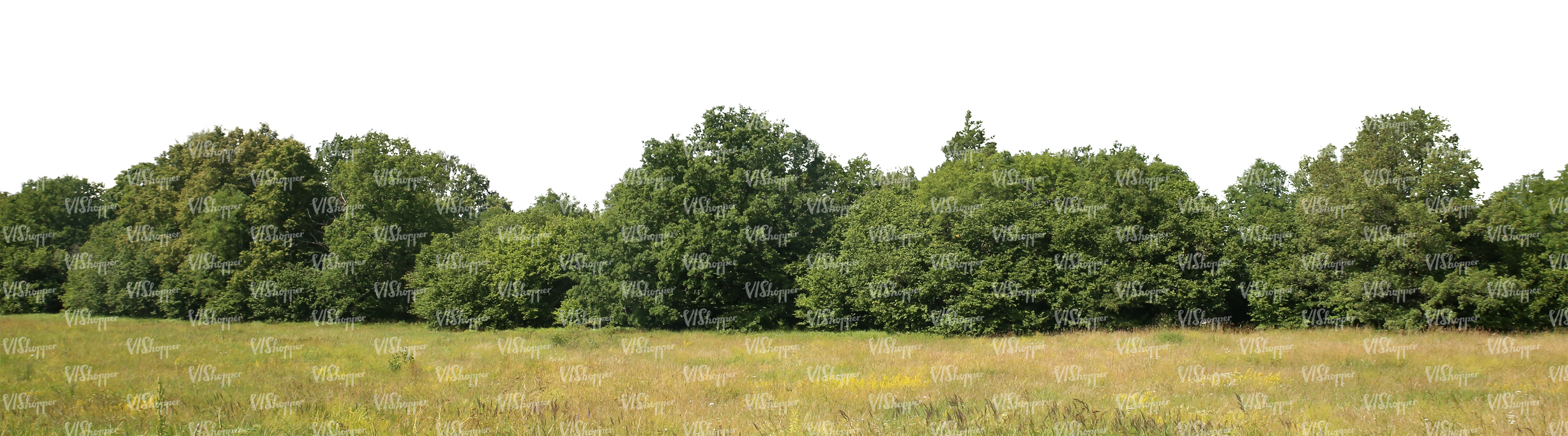 cut out background with meadow and bushes - VIShopper